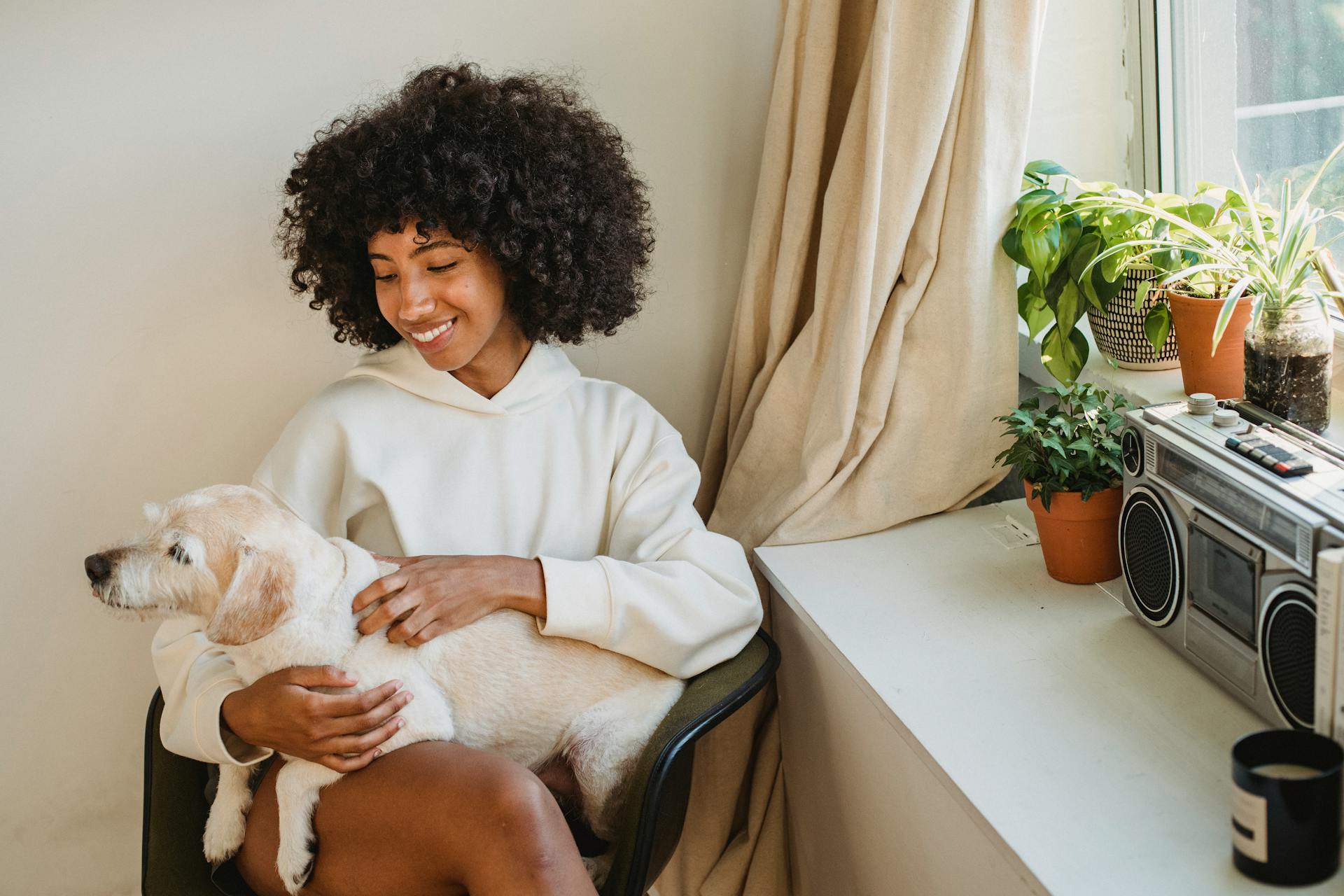 Positive African American female owner sitting with crossed legs and stroking fluffy dog near window