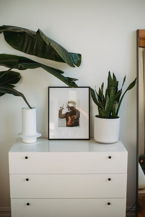 Free White cabinet with three desks and with potted green plants and framed picture Stock Photo