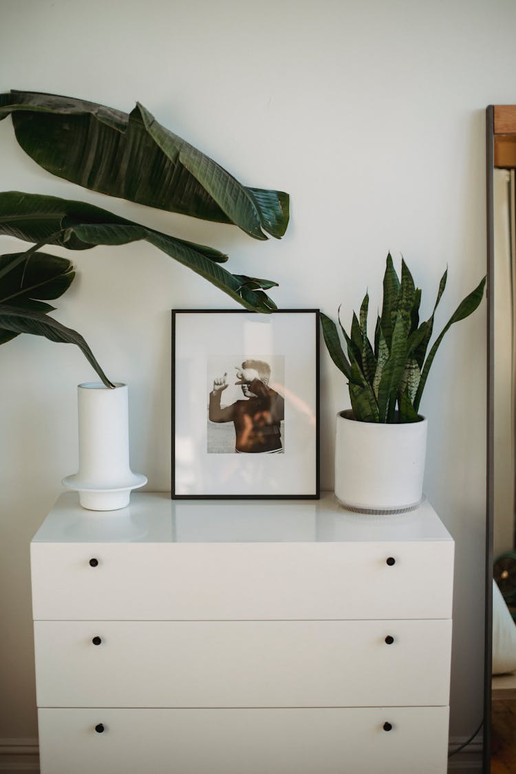 Cabinet With Framed Picture And Plants