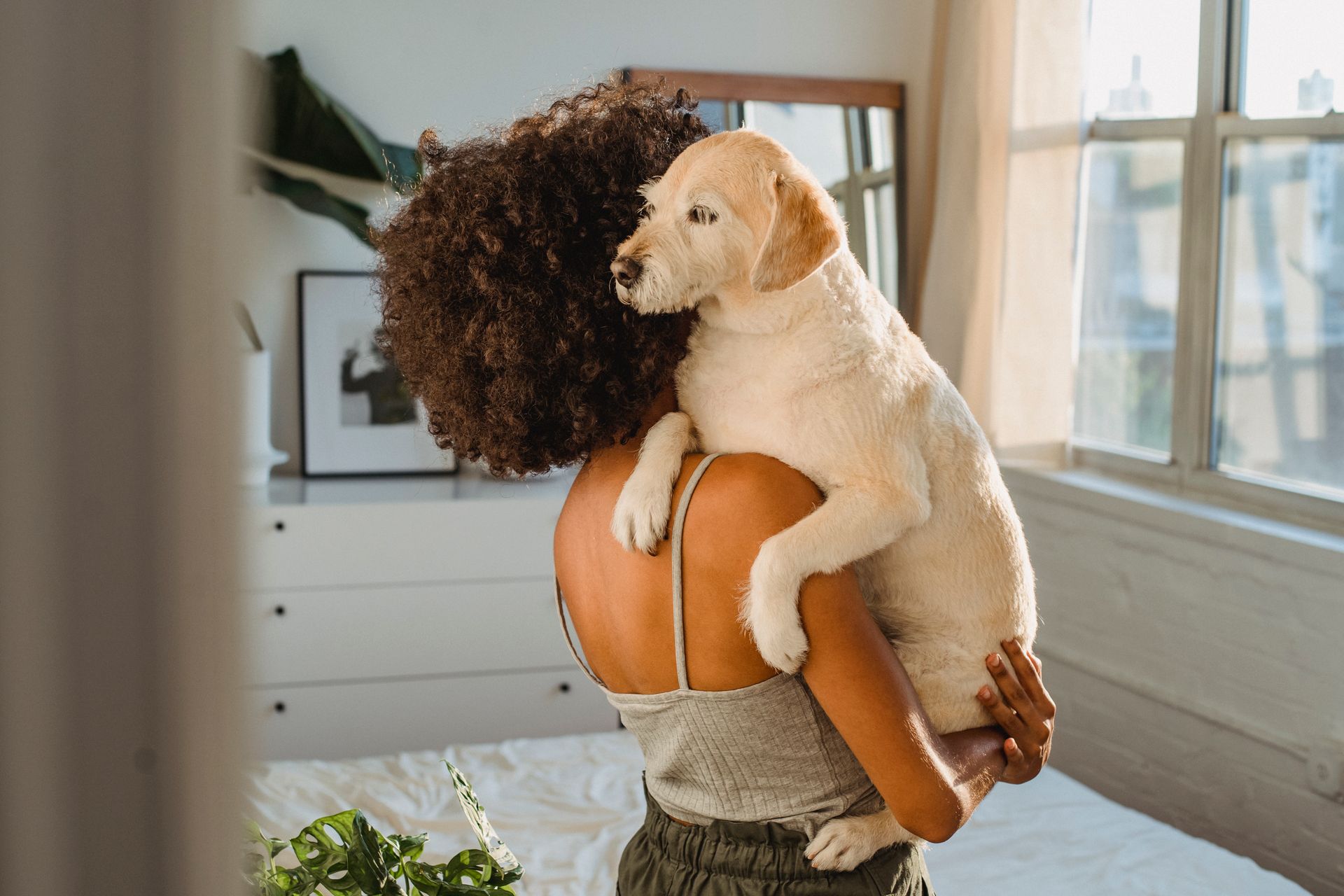 Back view of anonymous African American female in casual wear with curly hair standing in cozy room and hugging dog