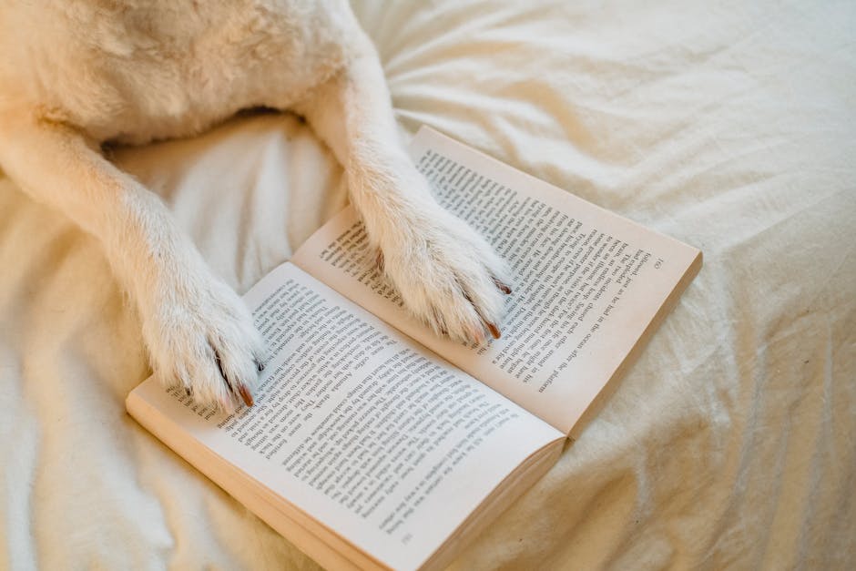 PAWS for Reading at Hill Road Library