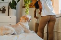 一位非裔美国女性站在镜子旁化妆，一只可爱的白色拉布拉多猎犬躺在舒适的床上