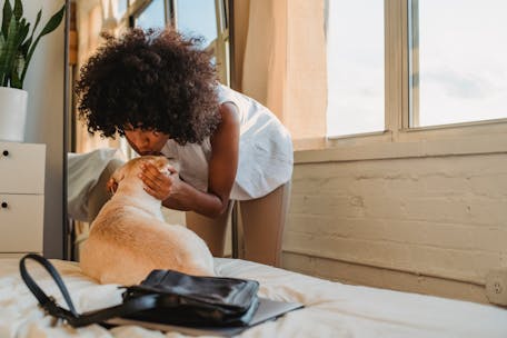 Positive young African American female wearing casual clothes bending forward and kissing adorable Labrador dog lying on cozy bed in light bedroom