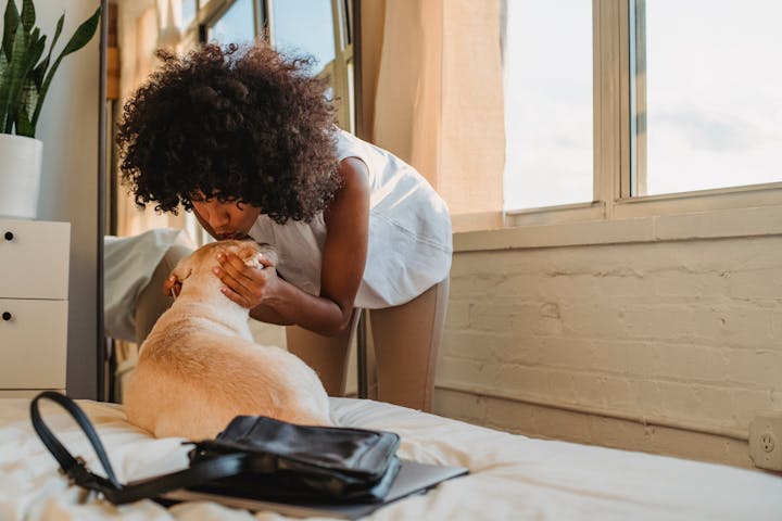 Positive young African American female wearing casual clothes bending forward and kissing adorable Labrador dog lying on cozy bed in light bedroom