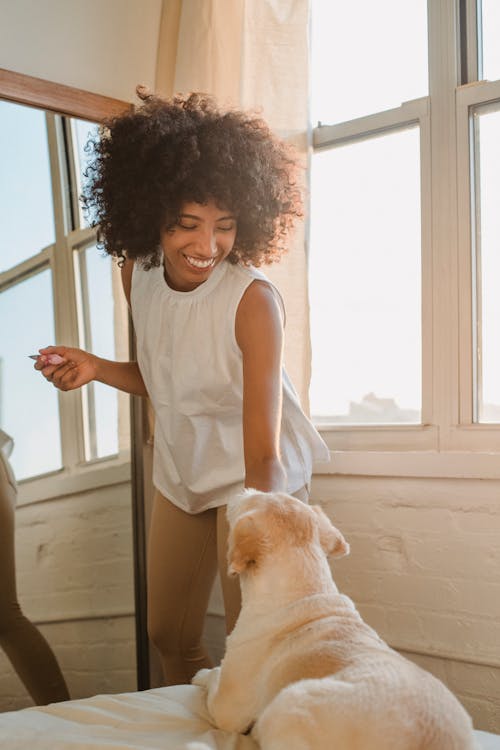 Smiling black woman caressing cute Labrador dog resting on bed