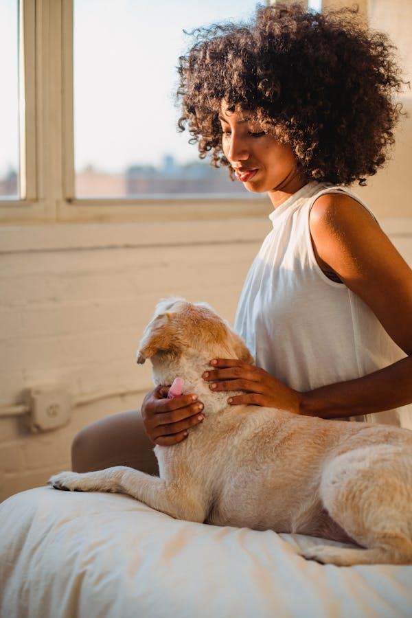 ⚠️ My Puppy's Tooth is Loose: Normal or Nutritional Problem? (2026 Vet Guide) - 5