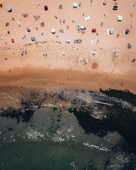 Stunning aerial shot of people enjoying Coogee Beach on a sunny summer day.