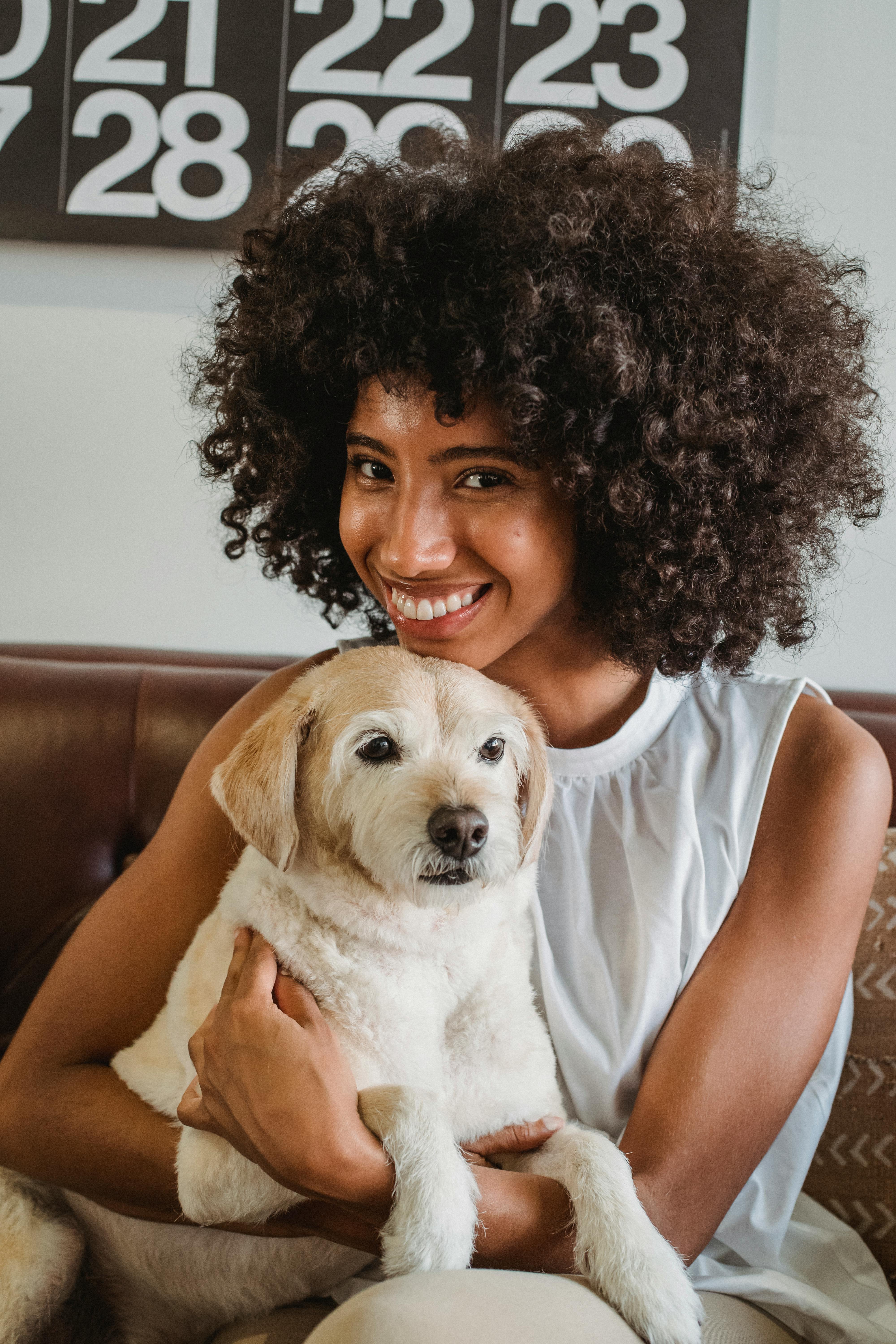 Young content ethnic female with Afro hairstyle embracing cute purebred dog on couch in house while looking at camera