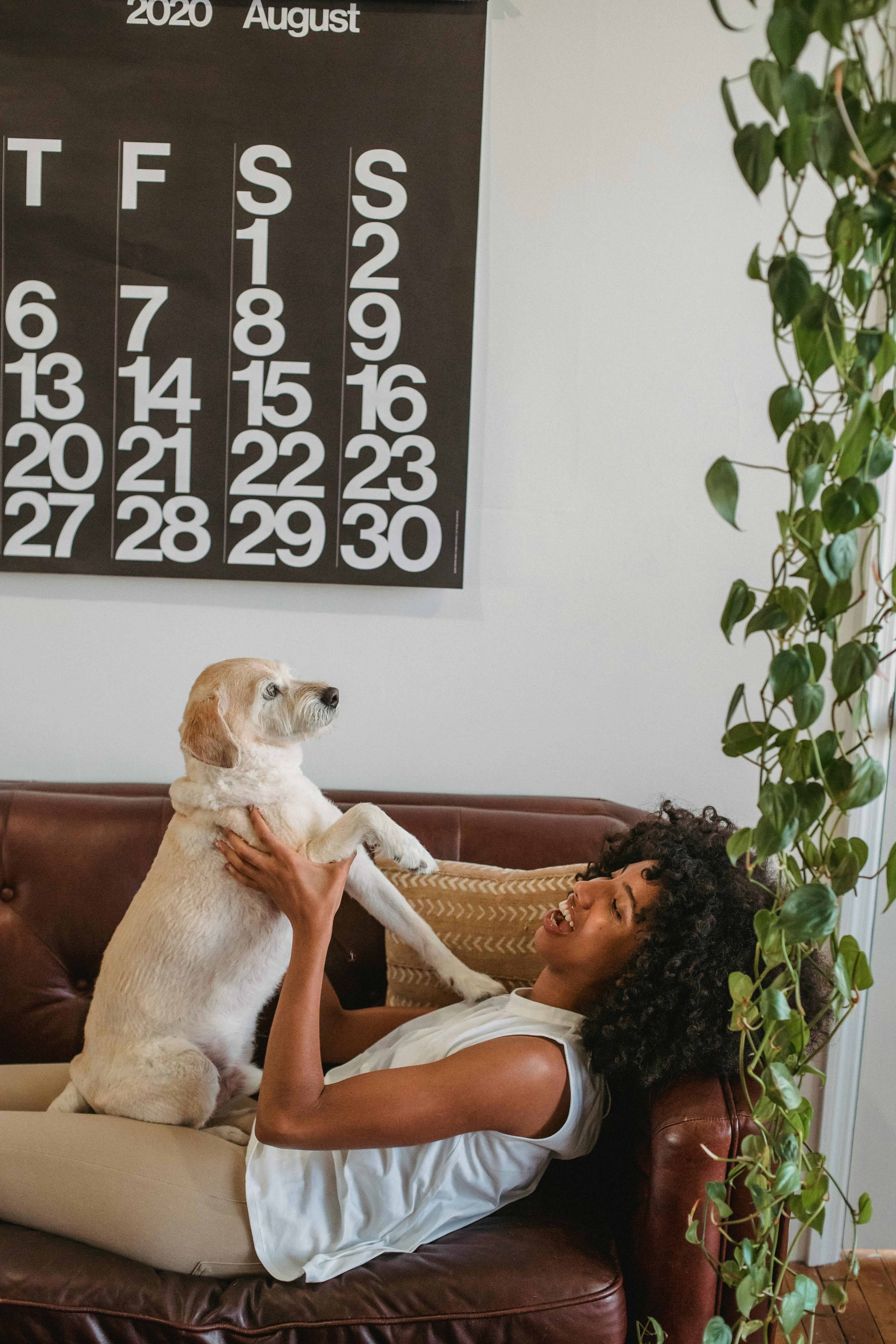 black woman playing with dog on sofa