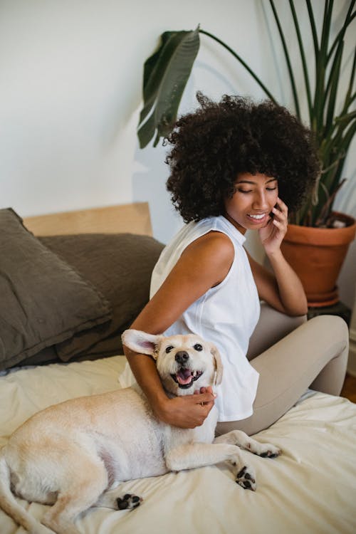 High angle of cheerful African American female smiling while caressing purebred dog Labrador Retriever lying on blanket