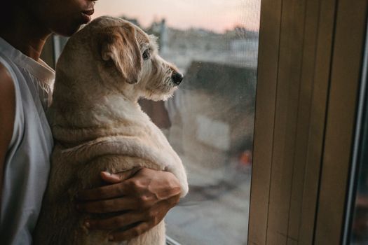 一位匿名的非裔美国女主人站在窗前，轻轻拥抱拉布拉多猎犬的侧面图
