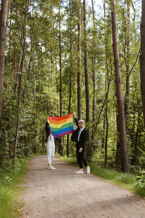 Fotos de stock gratuitas de arboles, bandera arcoiris, bosque