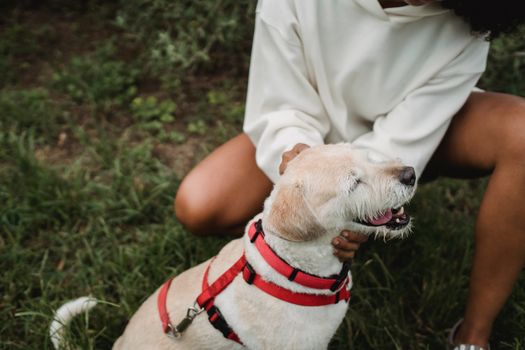 一位穿着休闲服的非裔美国女主人和她的拉布拉多猎犬坐在草坪上，周围是高角度的农作物