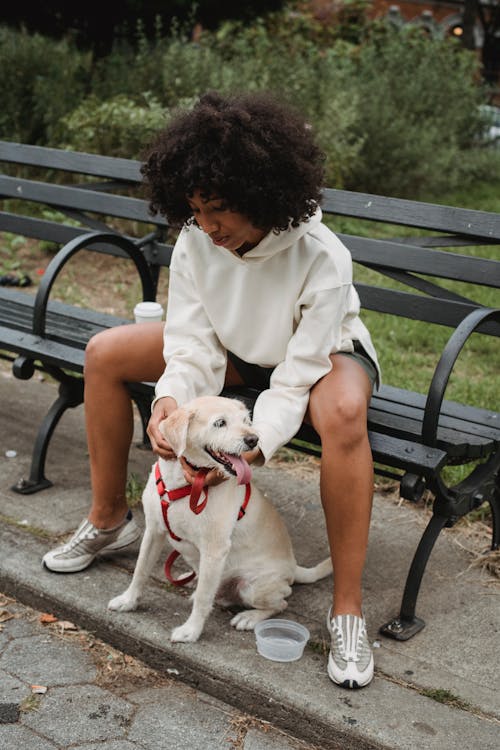 Black woman sitting on bench and stroking purebred dog