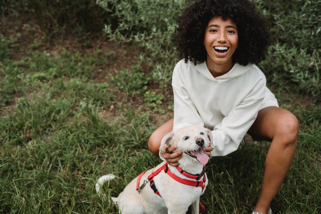 High angle of crop delighted African American female owner smiling happily while caressing Labrador Retriever in lawn