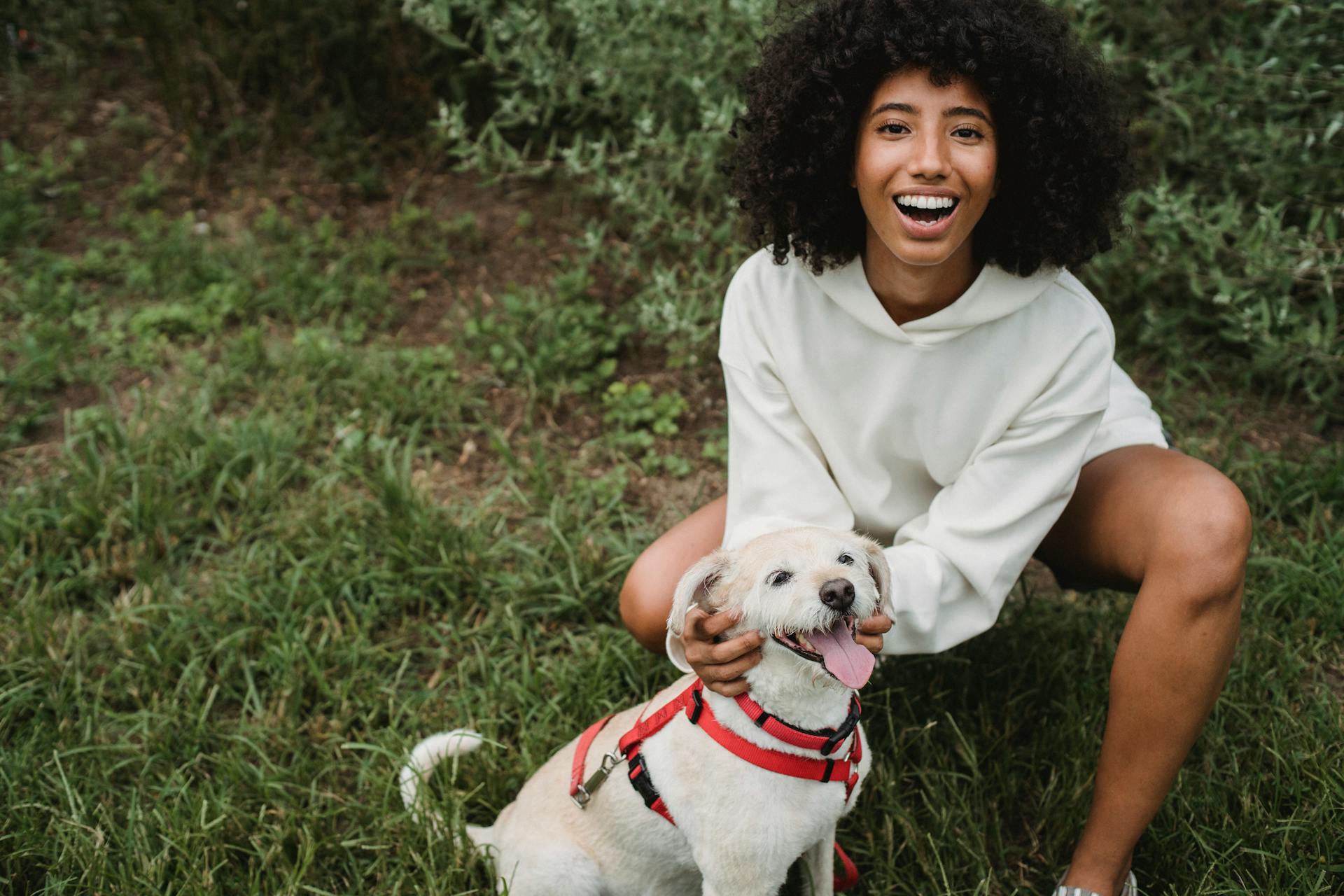 Haute angle de la récolte ravie afro-américaine femme propriétaire souriant joyeusement en caressant Labrador Retriever dans la pelouse