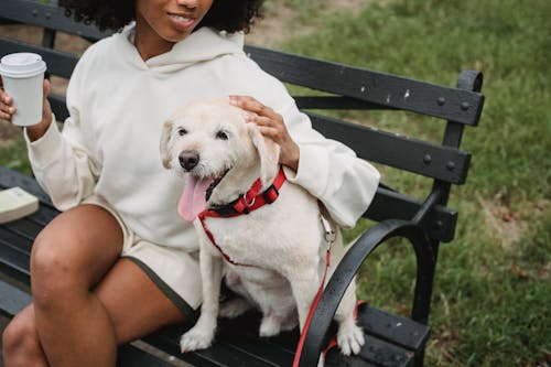 Cheerful unrecognizable African American female sitting on bench with dog with crossed legs and cup of takeaway coffee in city