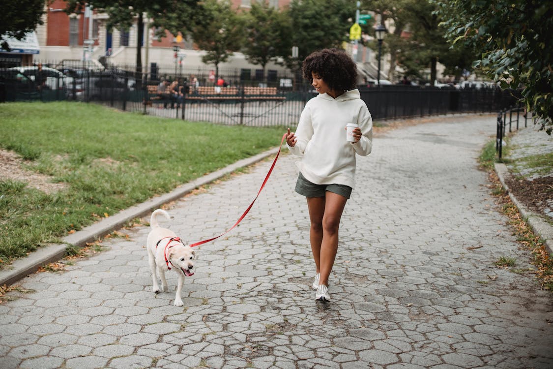 Free Black woman with coffee walking dog Stock Photo