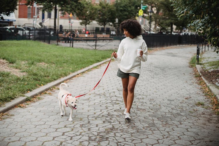 Black Woman With Coffee Walking Dog