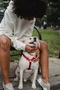 Unrecognizable black woman stroking dog in park