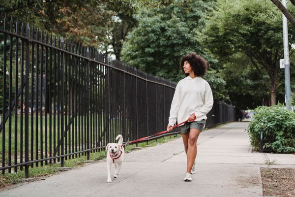 Mujer paseando a su perro blanco con correa por una acera