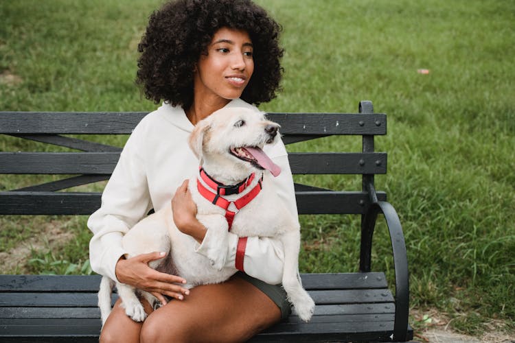 Content Black Woman Petting Dog On Bench