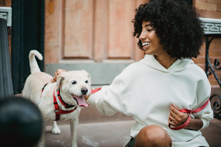 Happy Black Man With Dog On Stairs