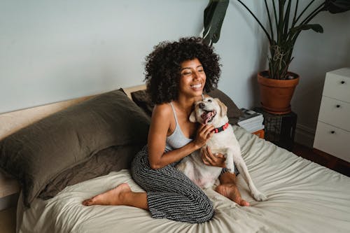 From above of happy African American female stroking adorable dog on bed of cozy bedroom