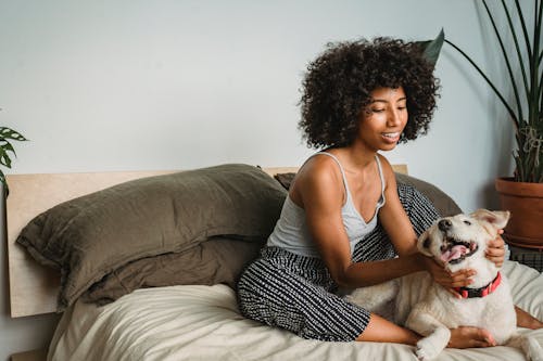 Smiling African American woman with curly hair resting on soft bed and stroking obedient dog in bedroom at home