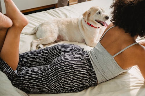 Female lying on comfortable bed with small dog at home