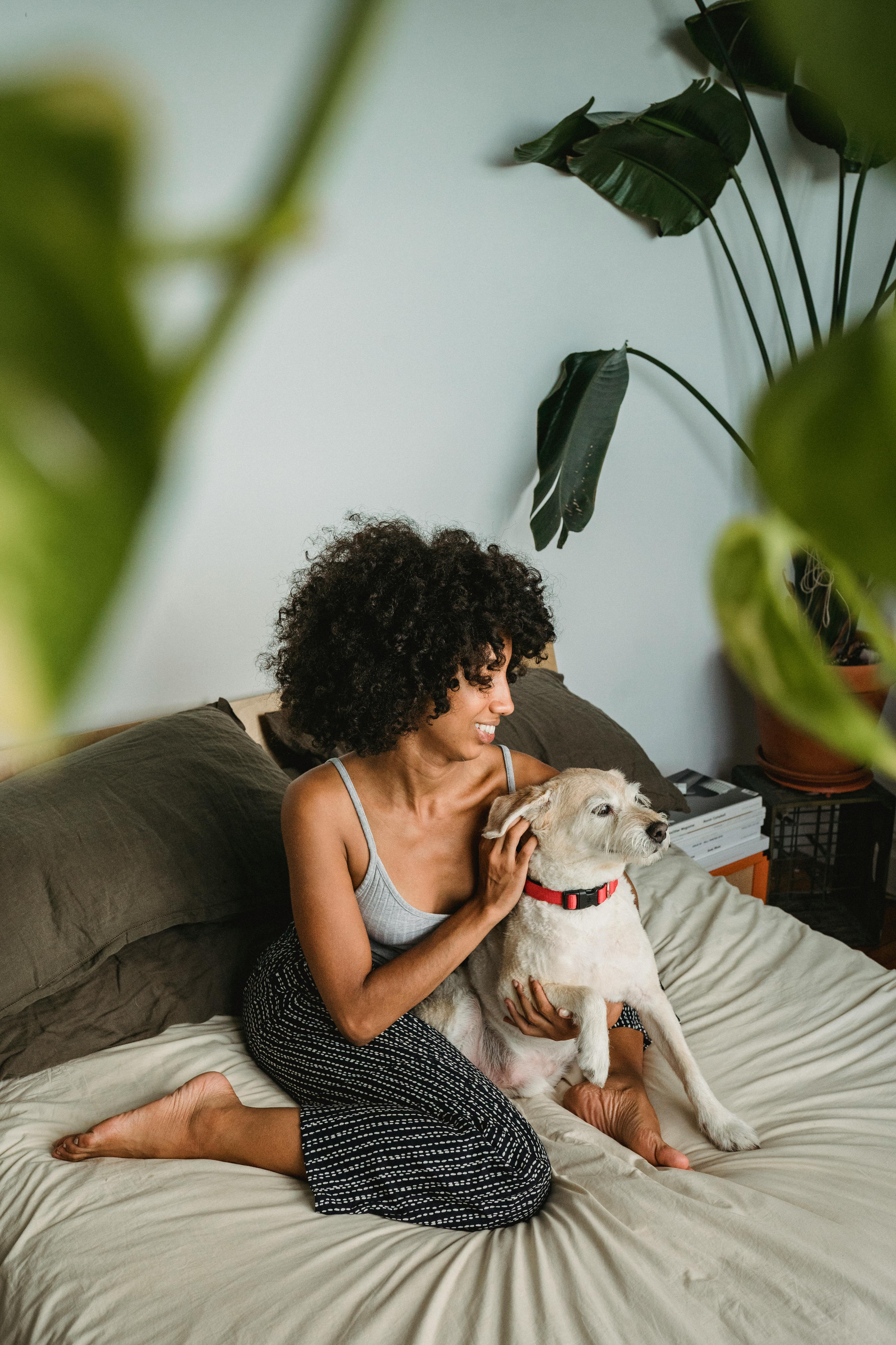 Happy black female with curly hair hugging adorable little dog while chilling in bedroom at home in daytime
