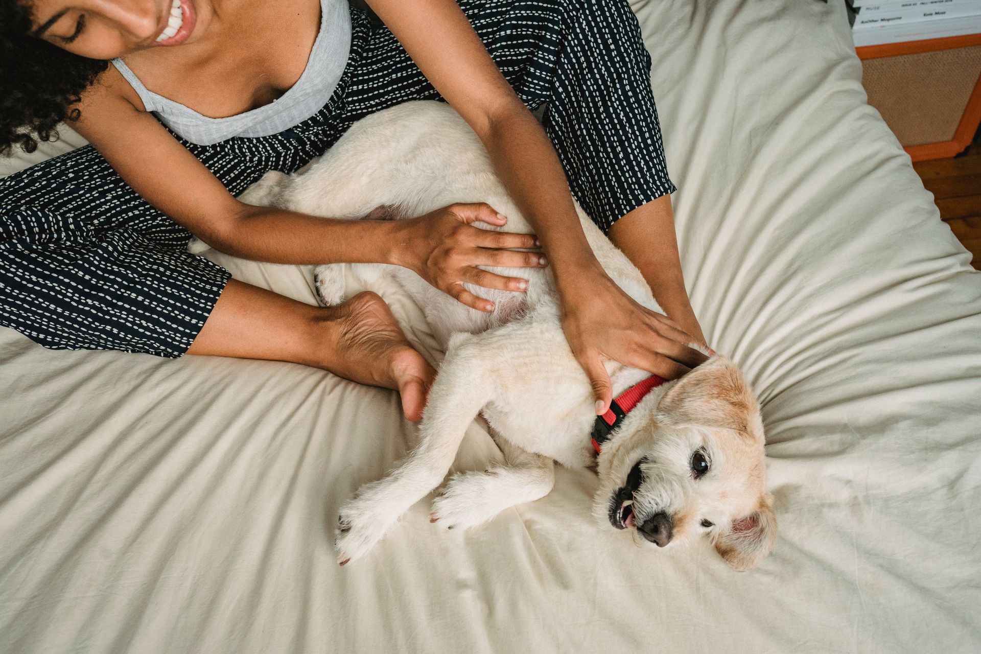 Happy black woman playing with dog on bed at home