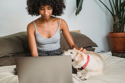 Ritaglia La Donna Nera Con Laptop E Cane