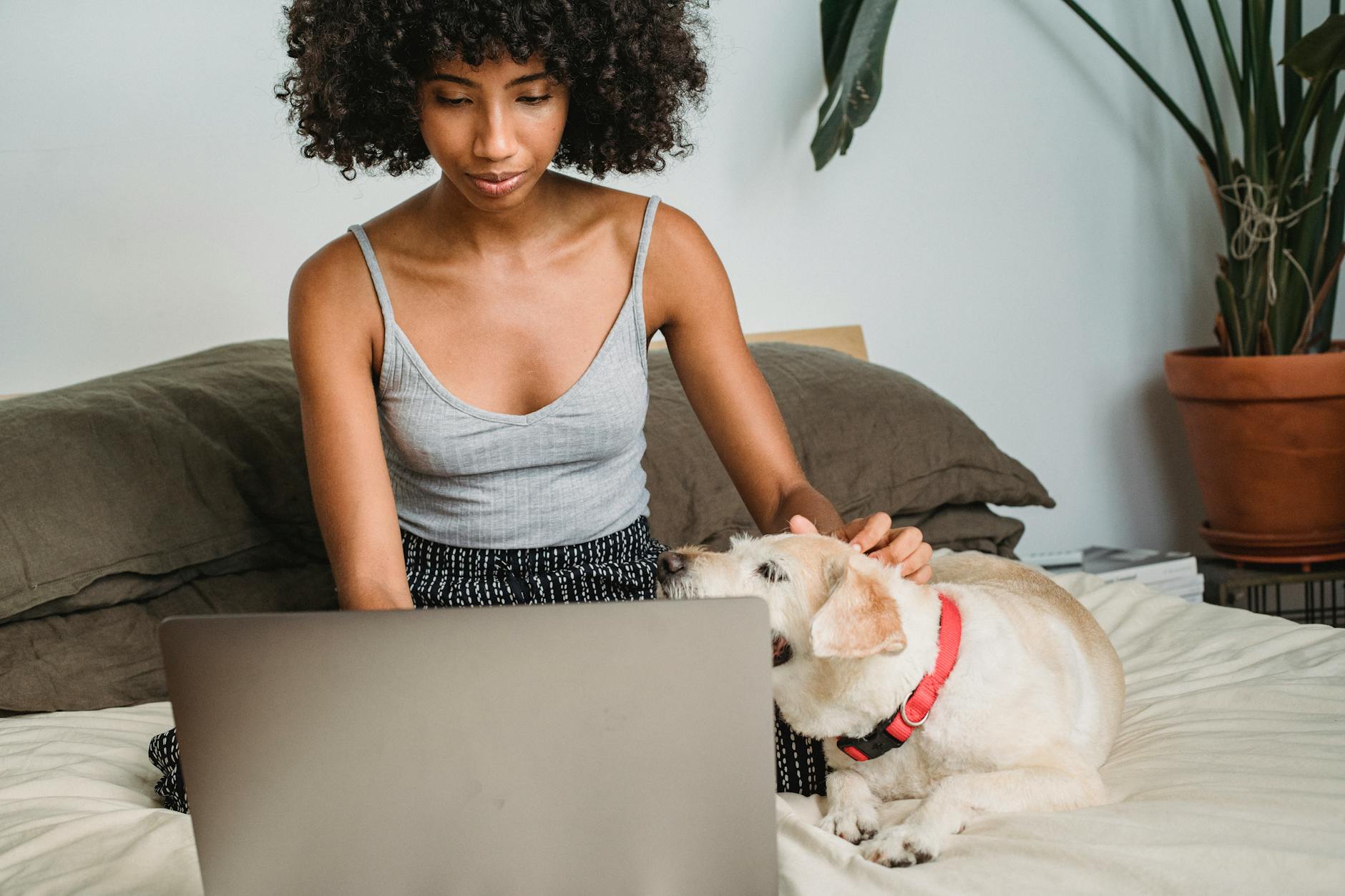 girl working on laptop with a dog