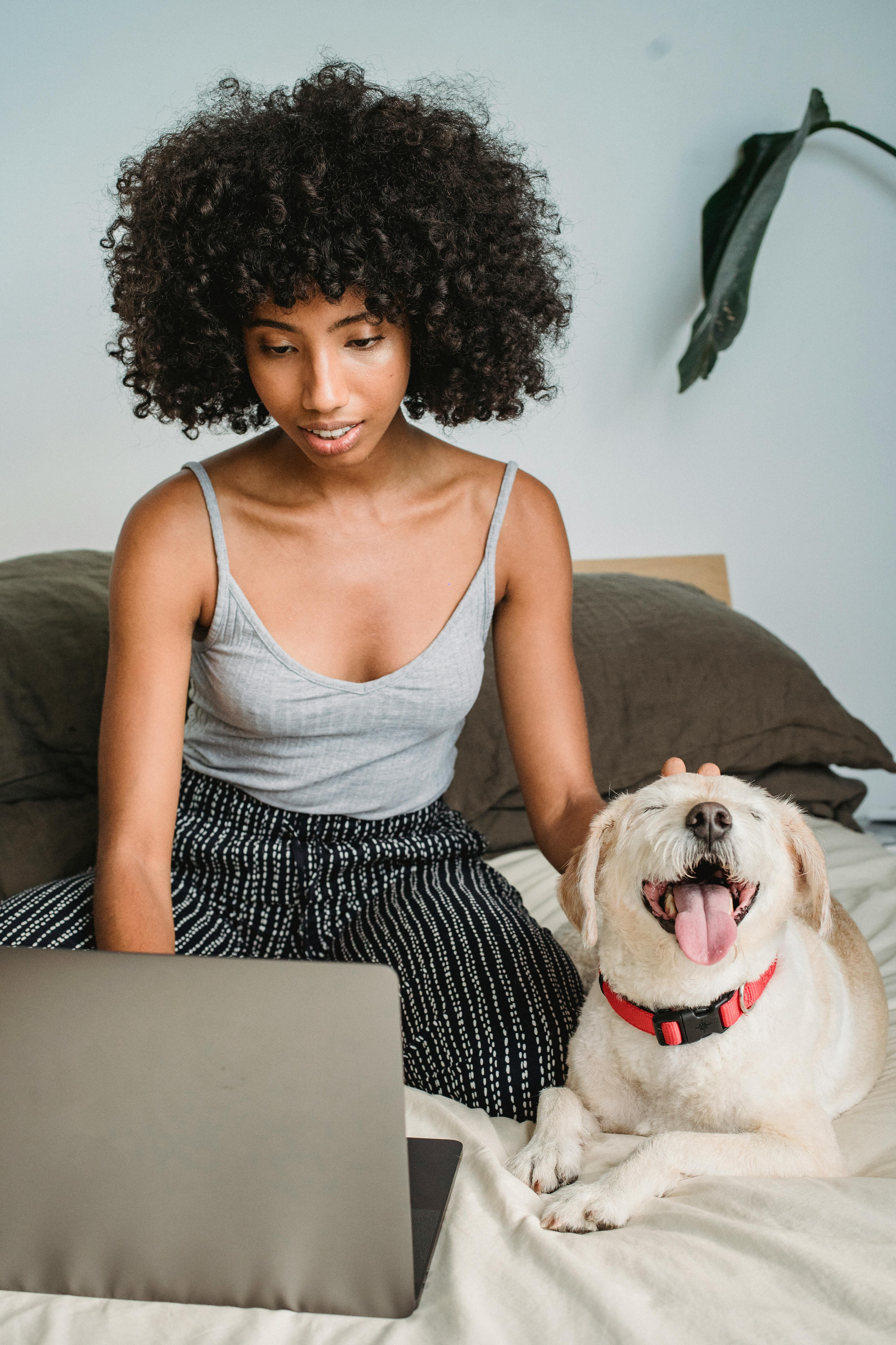 black woman watching laptop while caressing content dog on bed