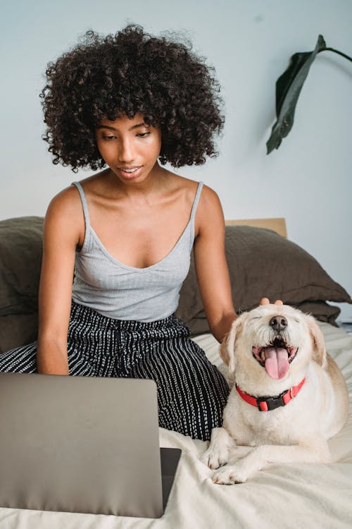 African American female surfing internet on netbook while stroking dog with tongue out on cozy bed