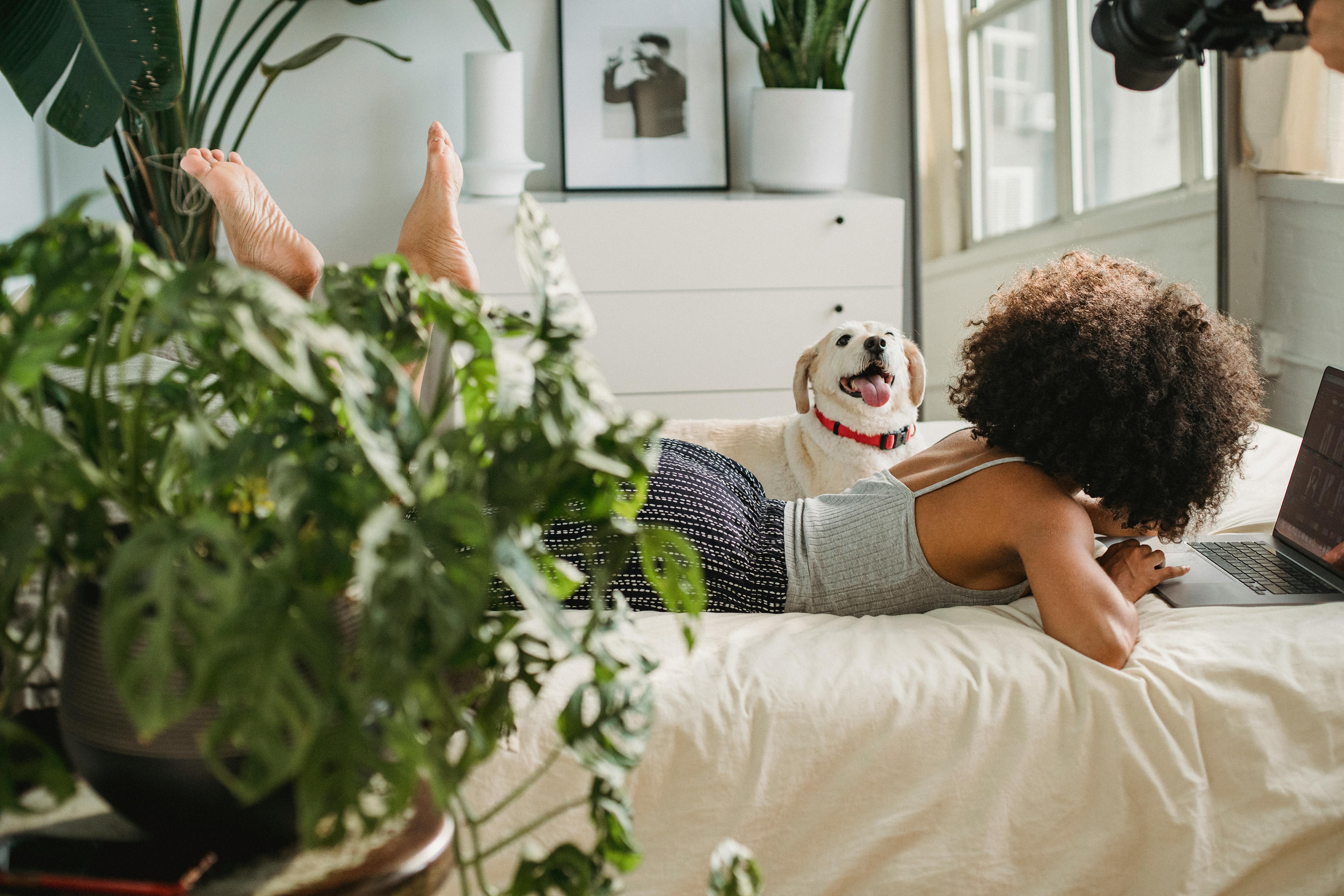 unrecognizable black woman with dog and laptop on bed