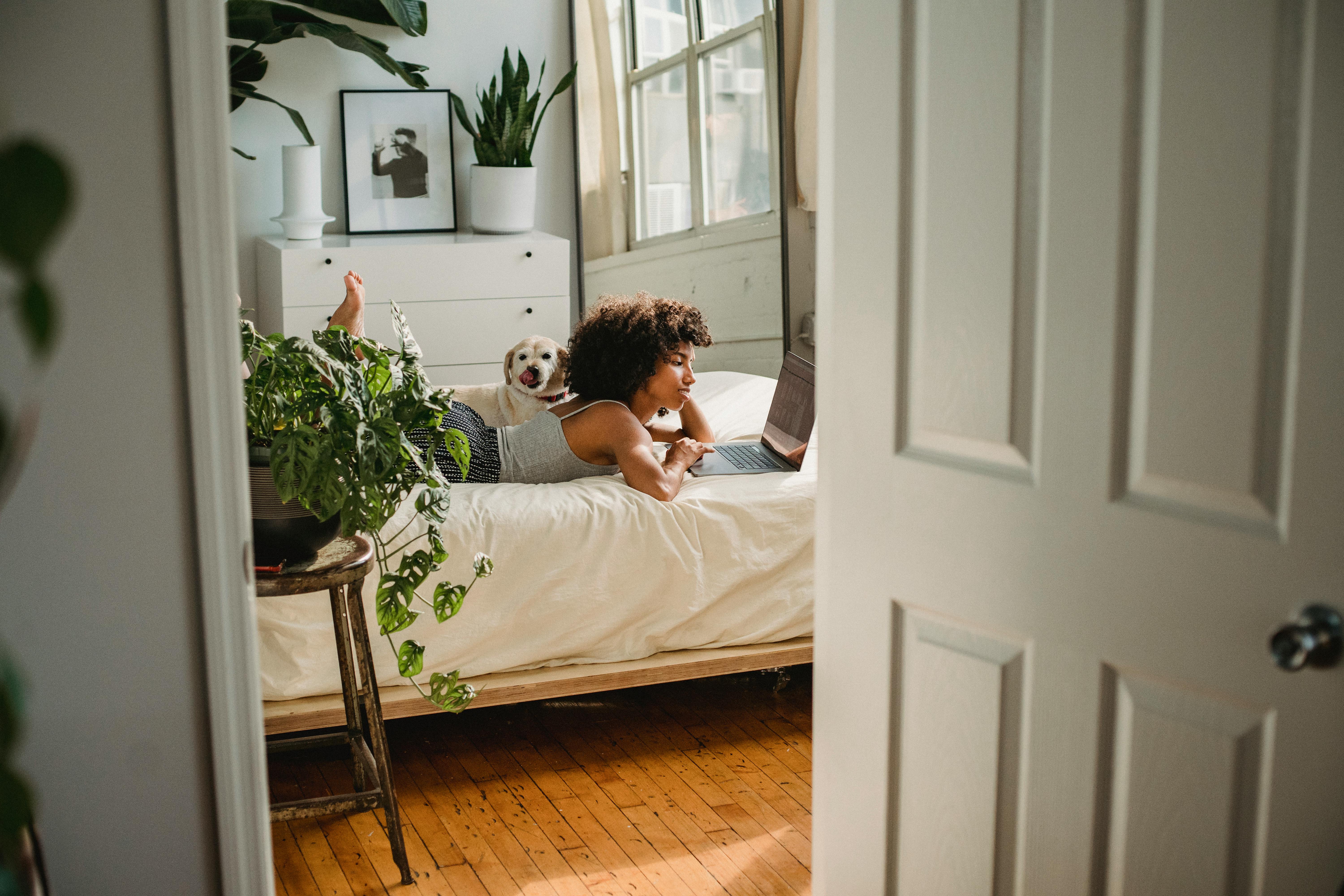 black woman watching laptop near purebred dog on bed