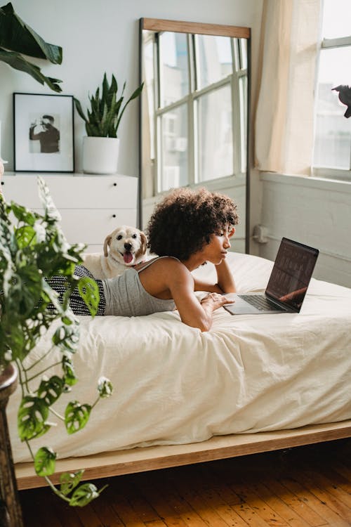 轻松的黑女人看笔记本电脑在床上的狗附近
