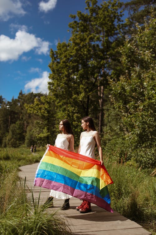 Fotos de stock gratuitas de arboles, bandera arcoiris, bosque