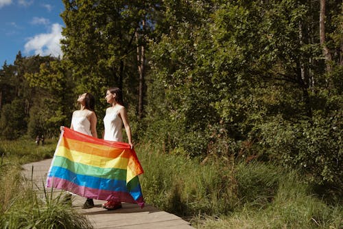 Fotos de stock gratuitas de arboles, bandera arcoiris, borde