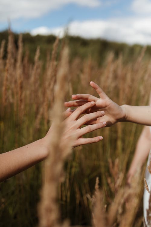 A Couple Reaching their Hands