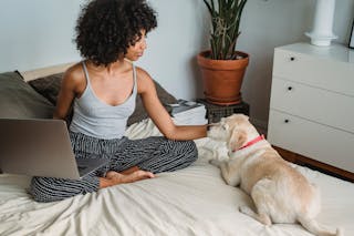 Crop African American female with netbook caressing purebred dog while sitting with crossed legs on cozy bed at home
