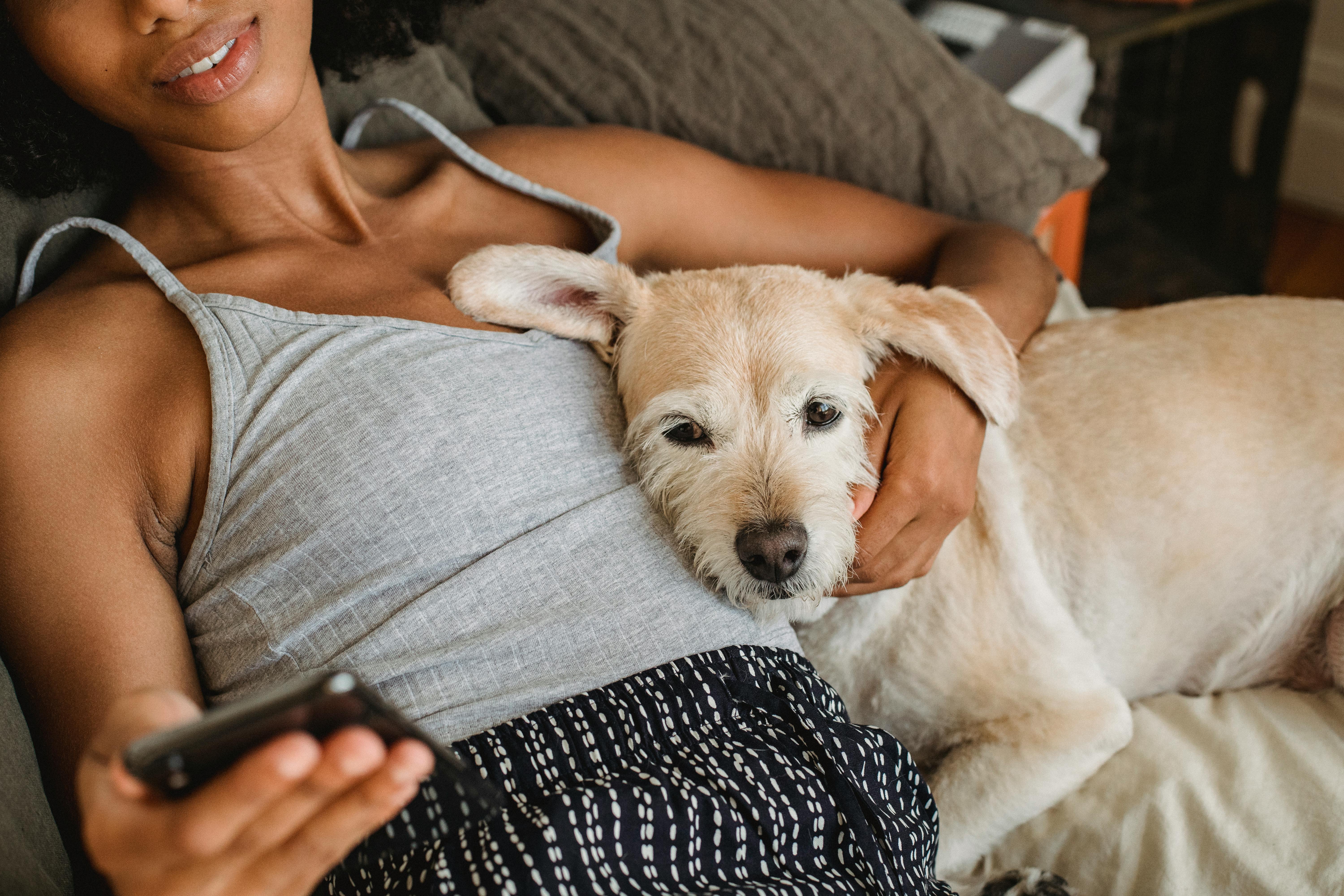 crop black woman with dog surfing internet on smartphone indoors