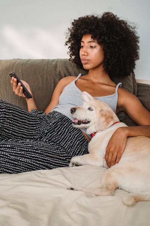 Free Young attentive African American female watching cellphone while embracing dog on soft bed at home Stock Photo