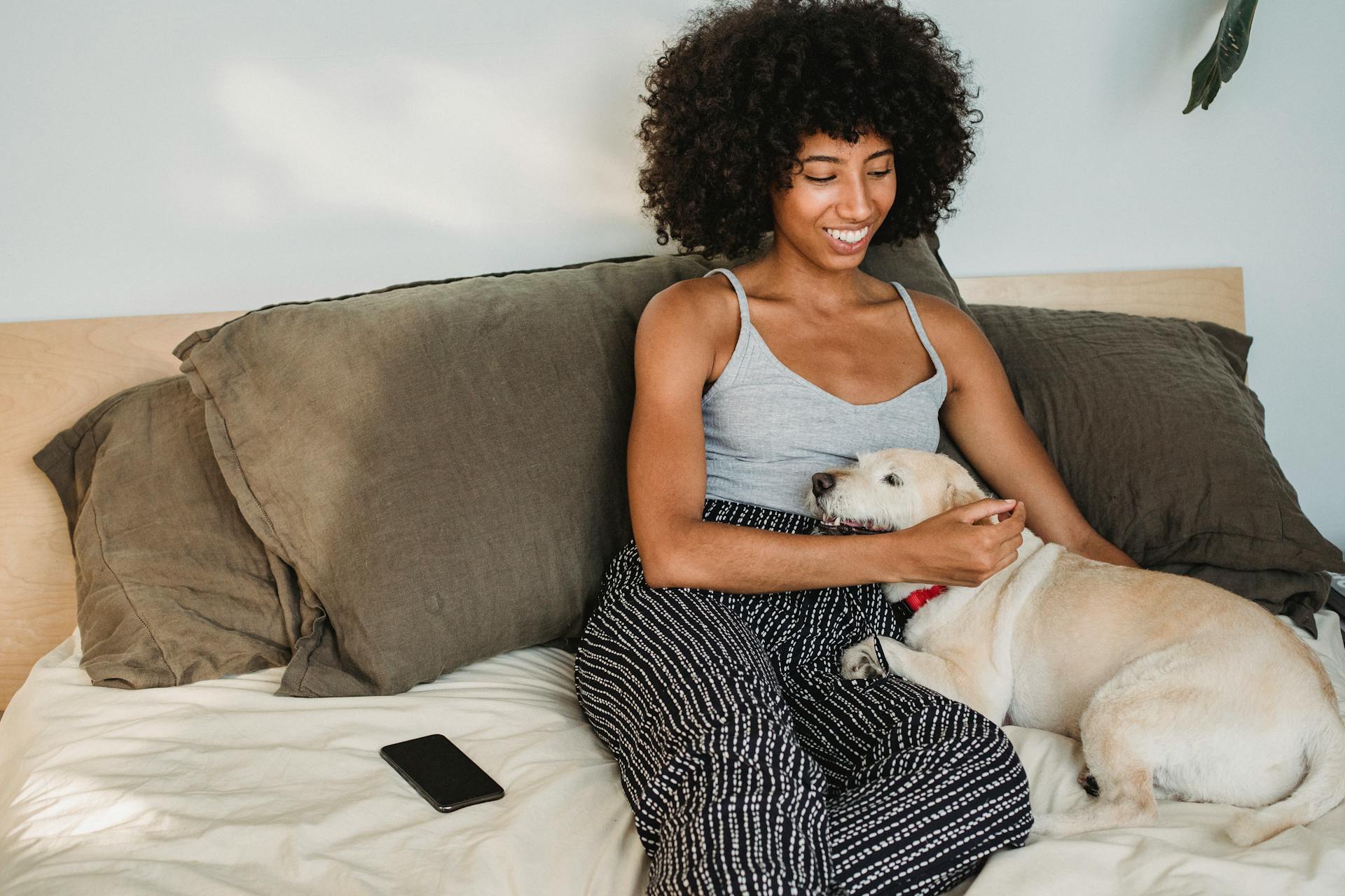 Young glad ethnic female with Afro hairstyle caressing adorable purebred dog on bed with smartphone at home