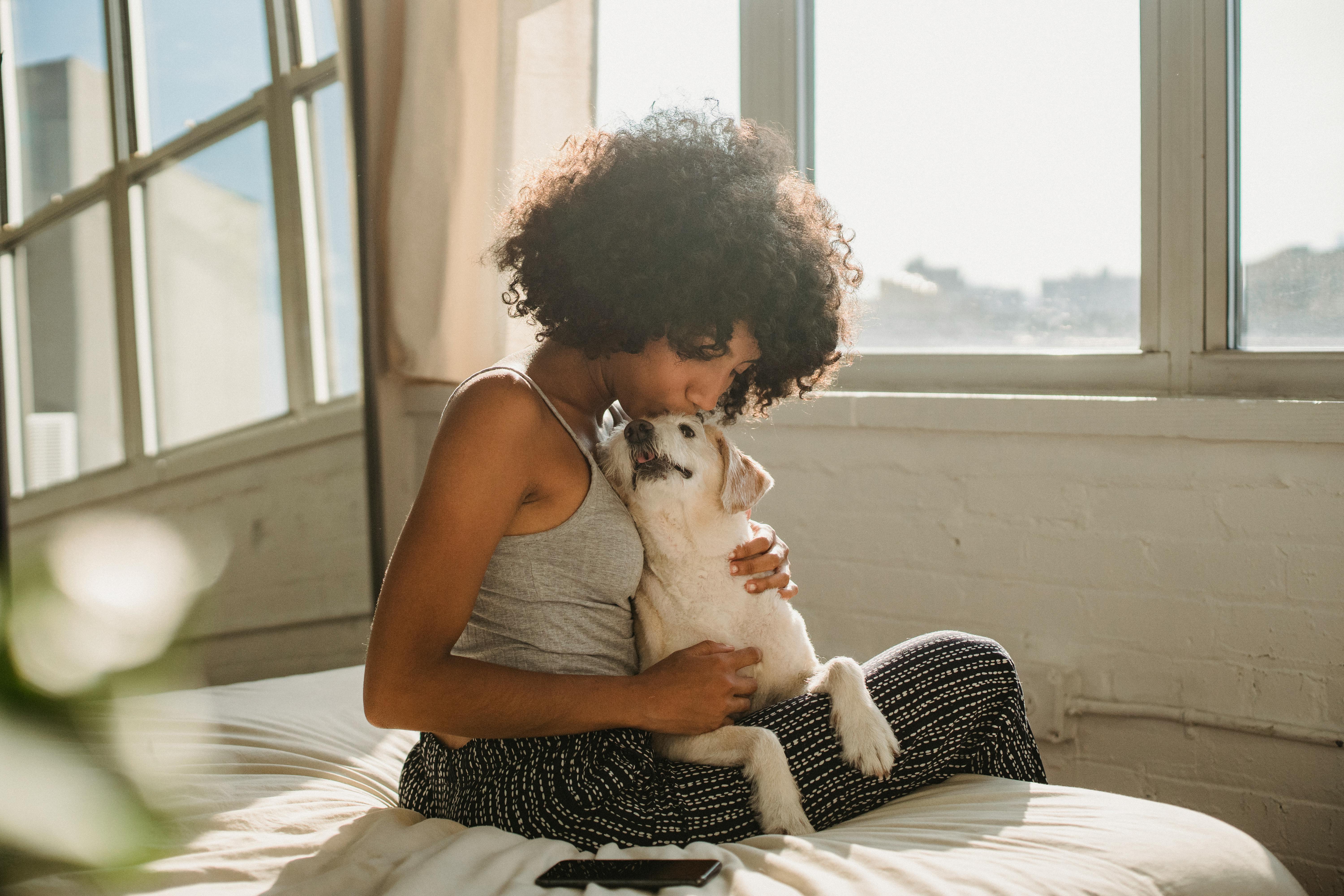 Black woman kissing purebred dog on cozy bed