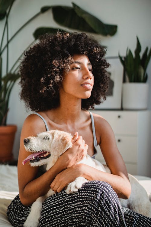 Free Young contemplative black female embracing cute puppy with tongue out while looking away on bed in house Stock Photo