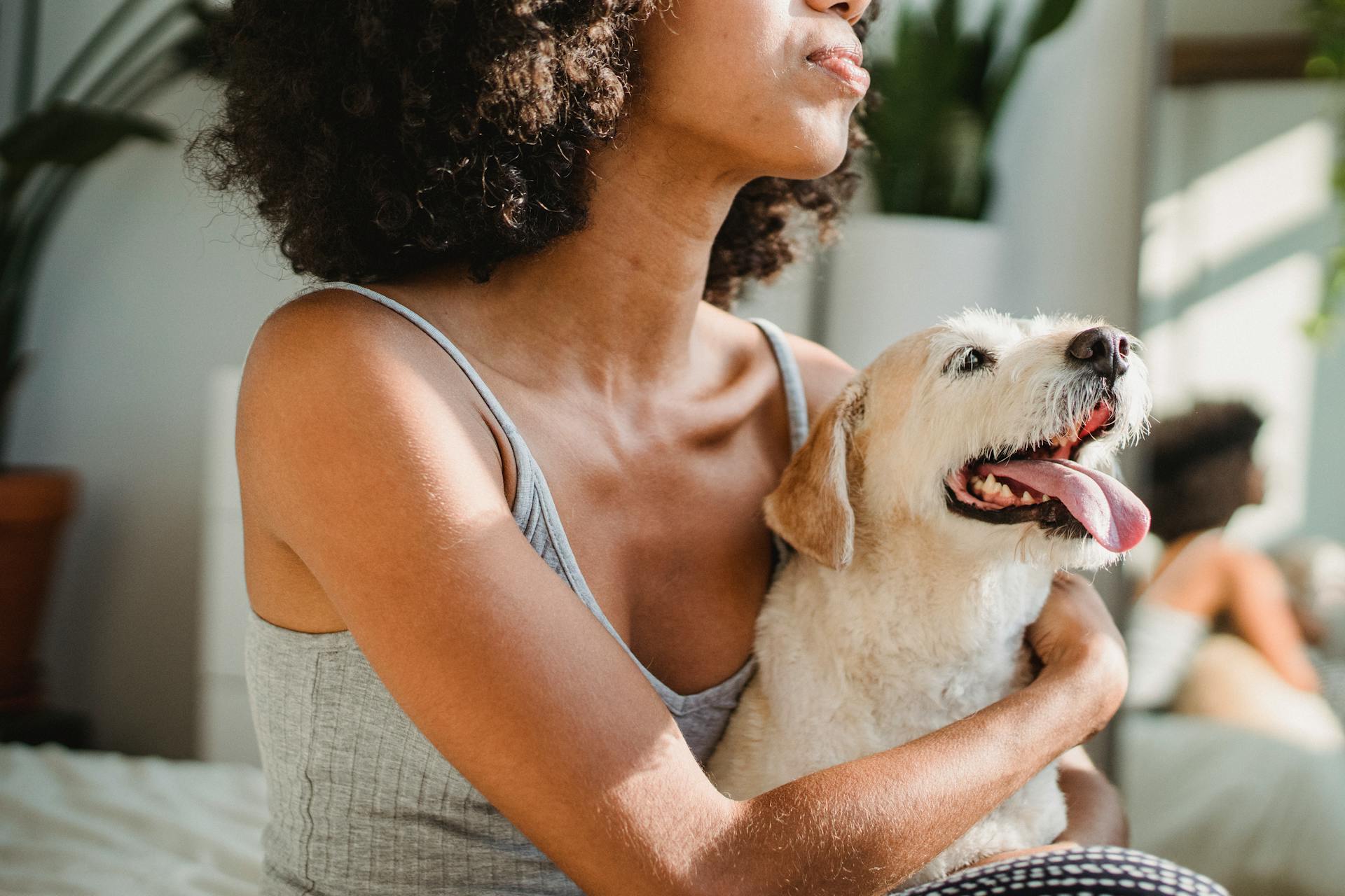 Crop anonymous African American female cuddling adorable purebred puppy with tongue out while reflecting in mirror in bedroom