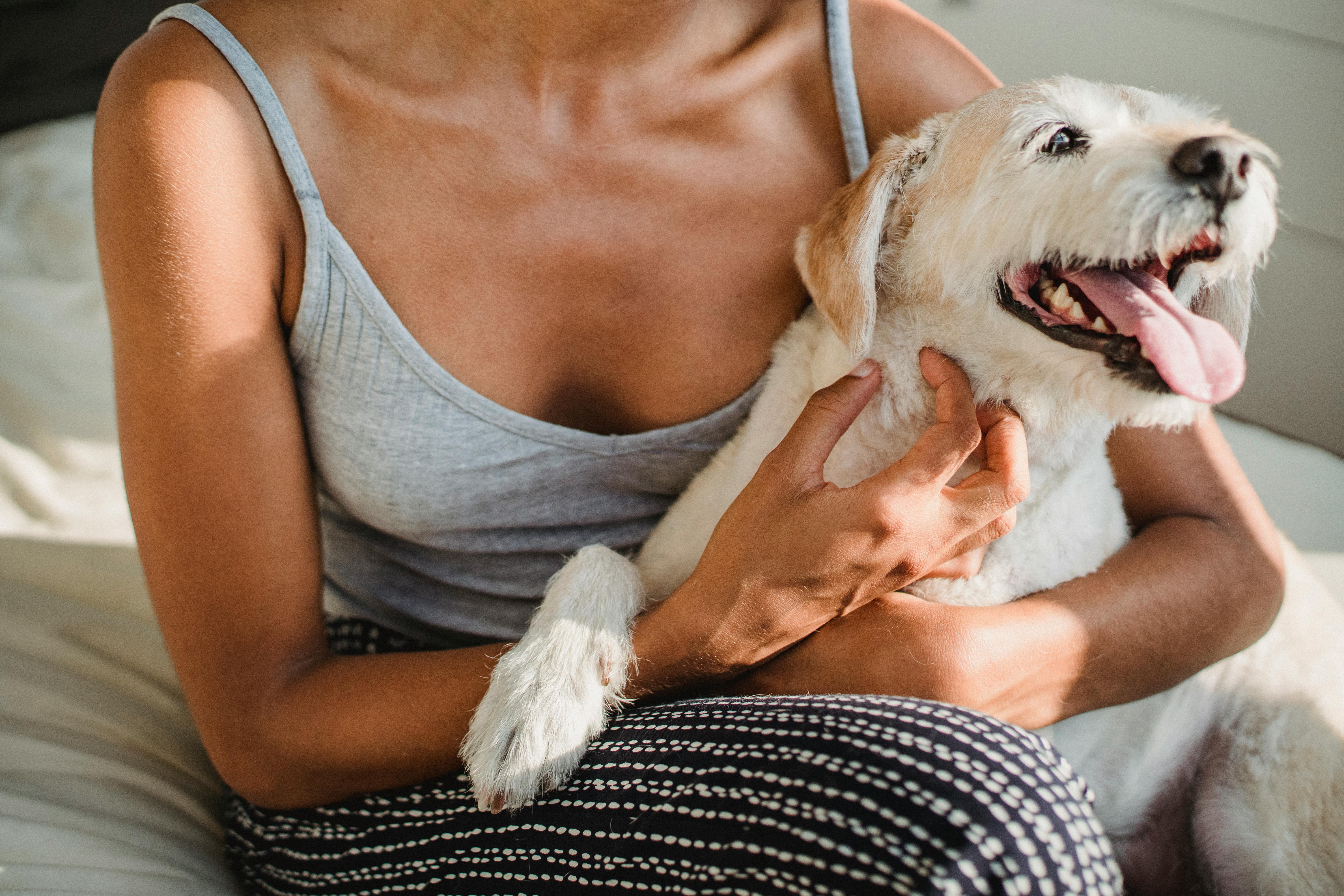 一名女子在室内与她的爱犬共度轻松时光，这是陪伴的完美写照